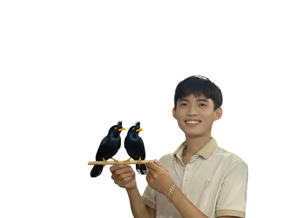 Anh Thu Chim Cò